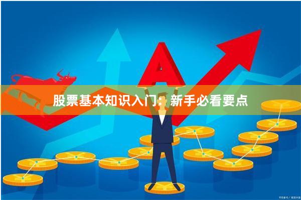股票基本知识入门：新手必看要点
